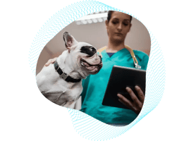Animal_Health_Header-1024x785